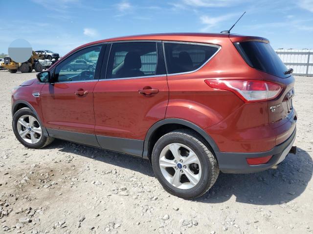 Photo 1 VIN: 1FMCU9G93EUE26660 - FORD ESCAPE 