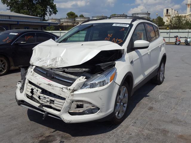 Photo 1 VIN: 1FMCU9G93FUC10017 - FORD ESCAPE SE 