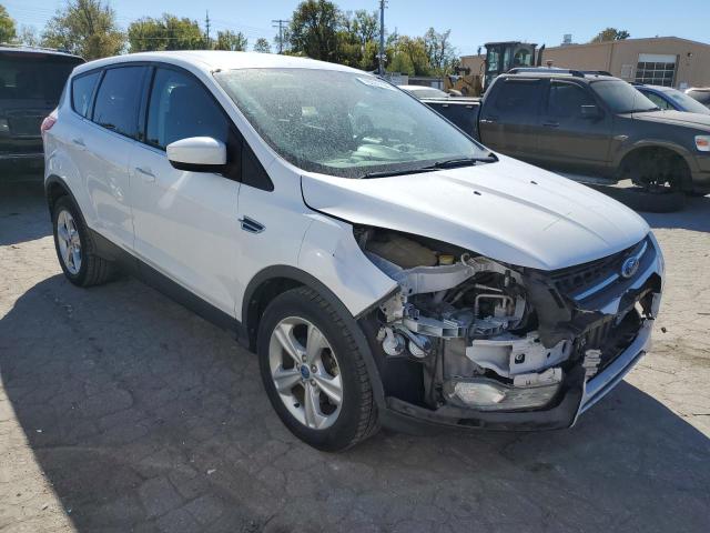 Photo 3 VIN: 1FMCU9G94EUA24078 - FORD ESCAPE SE 