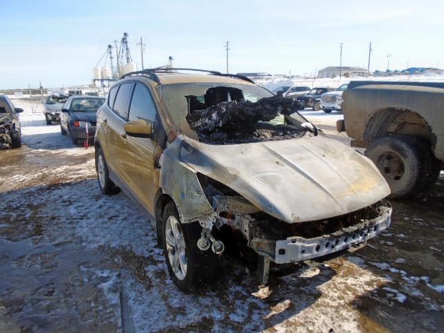 Photo 0 VIN: 1FMCU9G94EUC32767 - FORD ESCAPE SE 