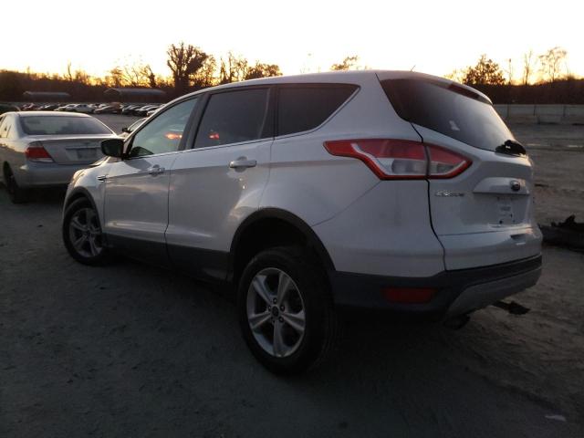 Photo 1 VIN: 1FMCU9G95DUD21617 - FORD ESCAPE 