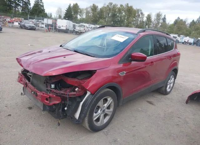 Photo 1 VIN: 1FMCU9G95EUB99942 - FORD ESCAPE 