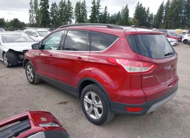 Photo 2 VIN: 1FMCU9G95EUB99942 - FORD ESCAPE 