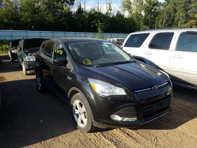 Photo 0 VIN: 1FMCU9G95EUC52865 - FORD ESCAPE 