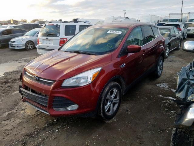 Photo 1 VIN: 1FMCU9G95EUC59847 - FORD ESCAPE 