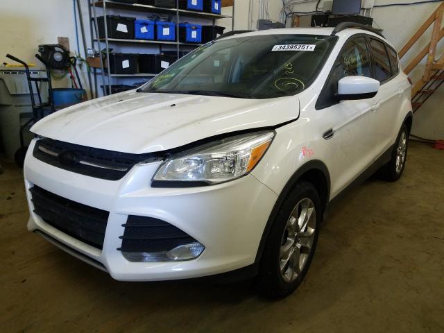 Photo 1 VIN: 1FMCU9G95EUD01367 - FORD ESCAPE SE 