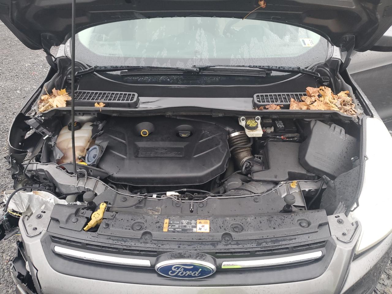 Photo 11 VIN: 1FMCU9G95EUD55753 - FORD ESCAPE 