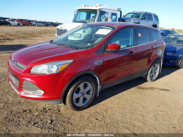 Photo 1 VIN: 1FMCU9G95EUD94522 - FORD ESCAPE 