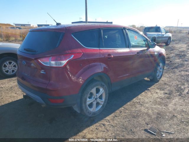 Photo 3 VIN: 1FMCU9G95EUD94522 - FORD ESCAPE 