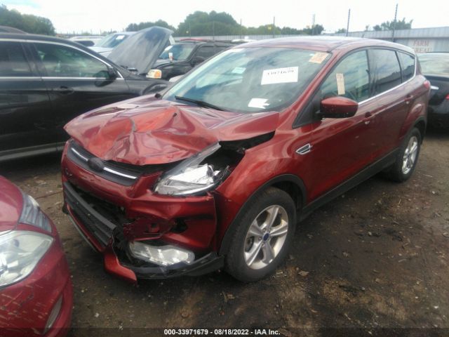 Photo 5 VIN: 1FMCU9G95GUA67671 - FORD ESCAPE 