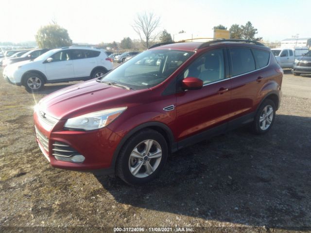 Photo 1 VIN: 1FMCU9G96EUA77218 - FORD ESCAPE 