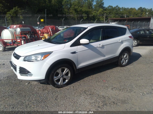 Photo 1 VIN: 1FMCU9G96EUB42343 - FORD ESCAPE 