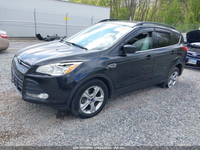 Photo 1 VIN: 1FMCU9G96EUC53894 - FORD ESCAPE 