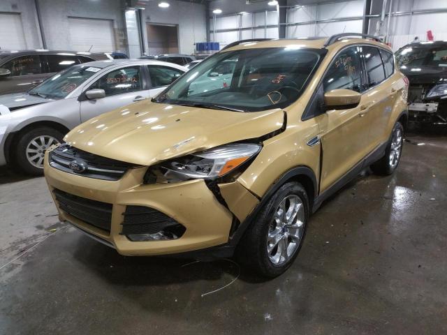 Photo 1 VIN: 1FMCU9G96EUD51212 - FORD ESCAPE SE 