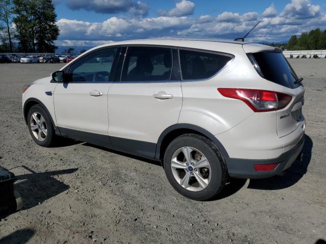 Photo 1 VIN: 1FMCU9G96EUE14325 - FORD ESCAPE 