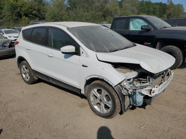 Photo 3 VIN: 1FMCU9G96FUA12869 - FORD ESCAPE SE 