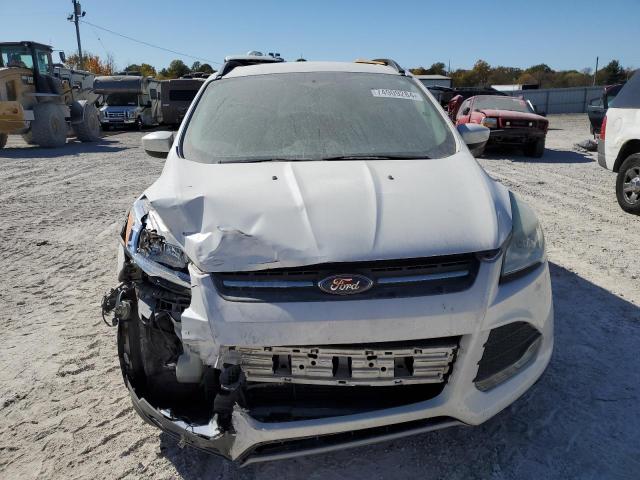 Photo 4 VIN: 1FMCU9G96FUA49758 - FORD ESCAPE SE 