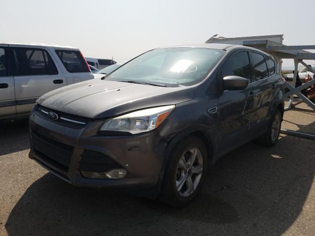 Photo 1 VIN: 1FMCU9G97DUA34327 - FORD ESCAPE SE 