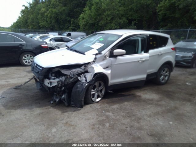 Photo 1 VIN: 1FMCU9G97DUC01284 - FORD ESCAPE 