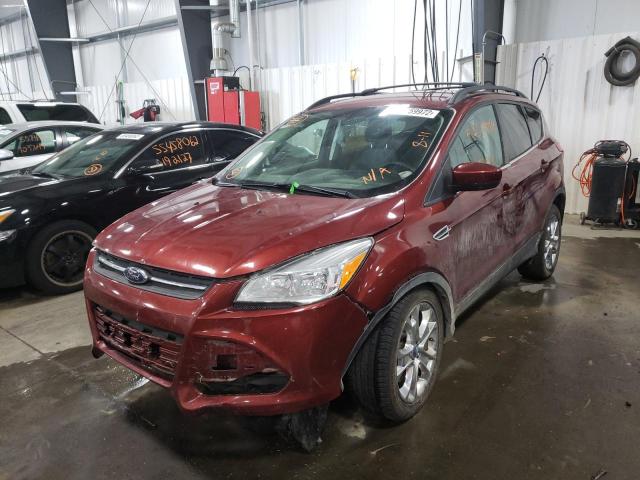 Photo 1 VIN: 1FMCU9G97EUA03466 - FORD ESCAPE SE 