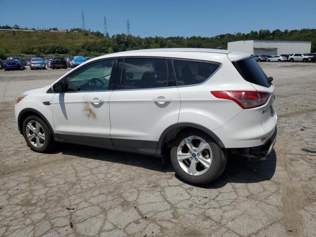 Photo 1 VIN: 1FMCU9G97EUA23071 - FORD ESCAPE 