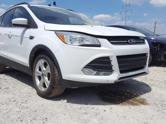 Photo 8 VIN: 1FMCU9G97EUA36578 - FORD ESCAPE SE 