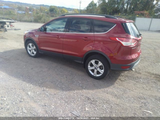 Photo 2 VIN: 1FMCU9G97EUC35808 - FORD ESCAPE 