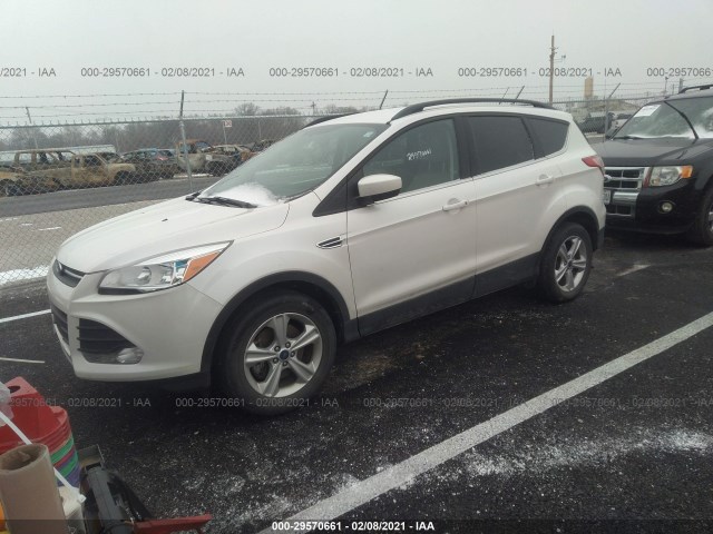 Photo 1 VIN: 1FMCU9G97EUC84782 - FORD ESCAPE 