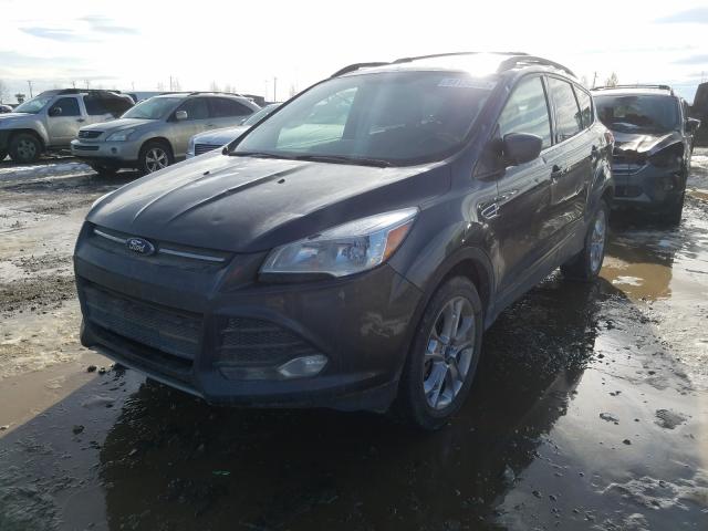 Photo 1 VIN: 1FMCU9G97FUA54659 - FORD ESCAPE SE 