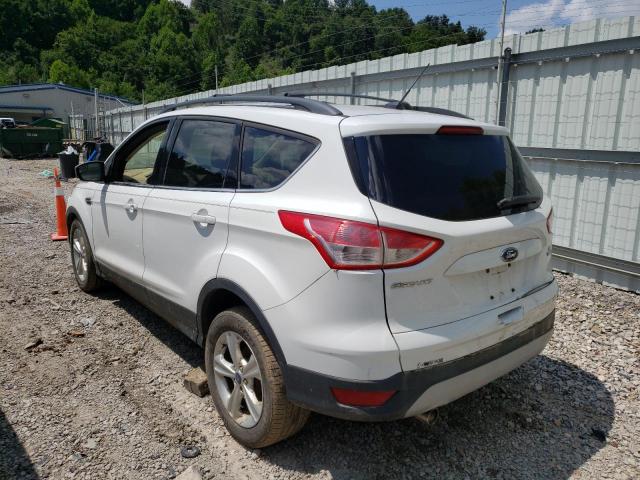 Photo 2 VIN: 1FMCU9G98DUD16329 - FORD ESCAPE SE 