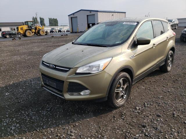 Photo 1 VIN: 1FMCU9G98DUD18369 - FORD ESCAPE SE 