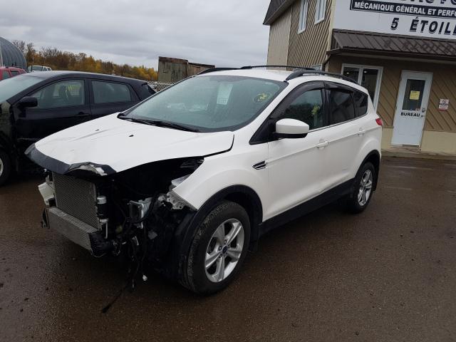 Photo 1 VIN: 1FMCU9G98DUD43661 - FORD ESCAPE SE 