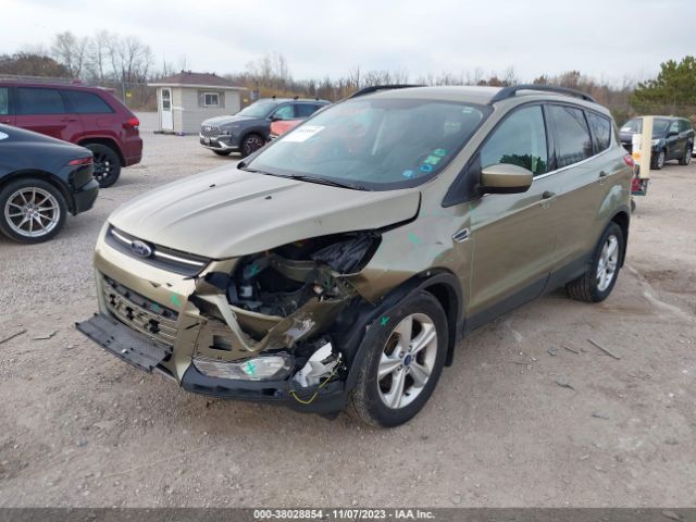 Photo 1 VIN: 1FMCU9G98EUB13460 - FORD ESCAPE 