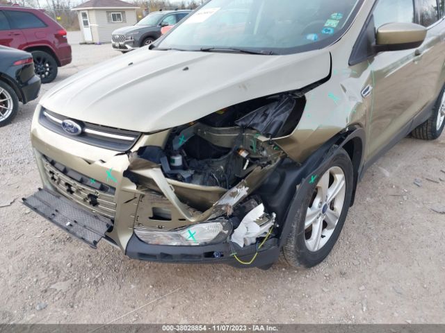 Photo 5 VIN: 1FMCU9G98EUB13460 - FORD ESCAPE 