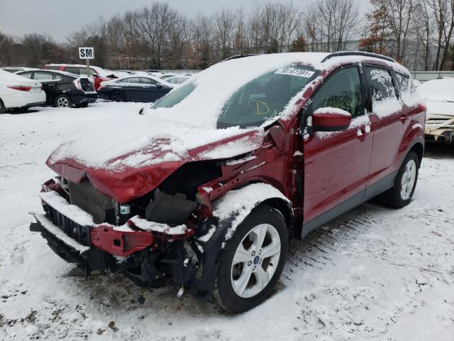 Photo 1 VIN: 1FMCU9G98EUC26566 - FORD ESCAPE SE 