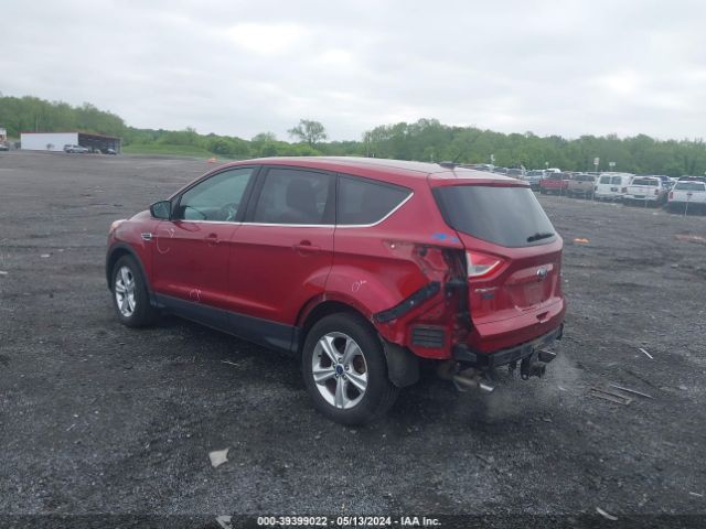 Photo 2 VIN: 1FMCU9G98EUD84521 - FORD ESCAPE 