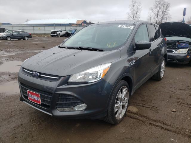 Photo 1 VIN: 1FMCU9G98FUA38910 - FORD ESCAPE 