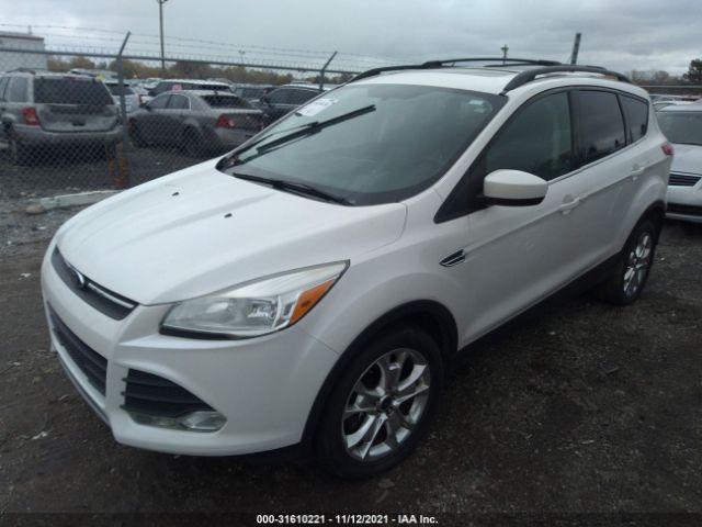 Photo 1 VIN: 1FMCU9G99DUC10133 - FORD ESCAPE 