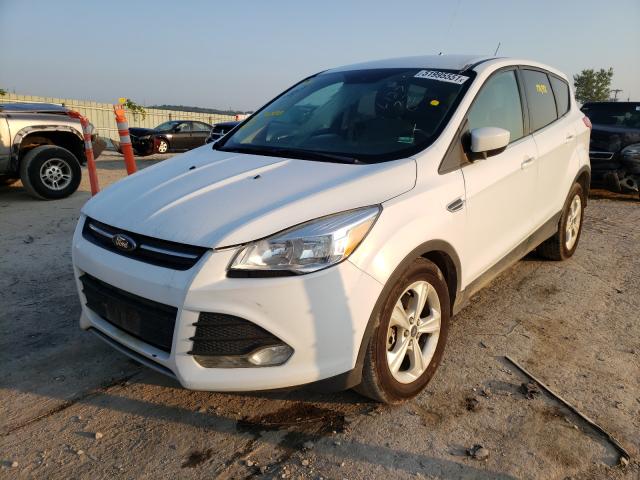 Photo 1 VIN: 1FMCU9G99DUC56478 - FORD ESCAPE SE 