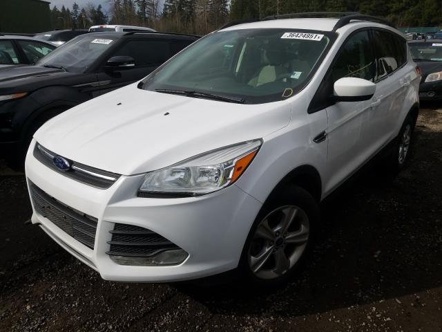 Photo 1 VIN: 1FMCU9G99DUD25332 - FORD ESCAPE SE 