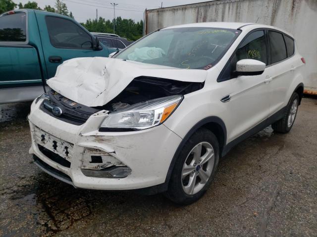 Photo 1 VIN: 1FMCU9G99DUD53891 - FORD ESCAPE SE 