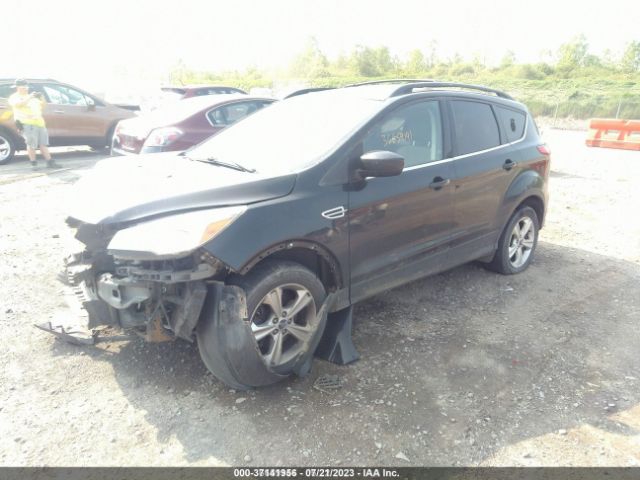 Photo 1 VIN: 1FMCU9G99DUD88639 - FORD ESCAPE 