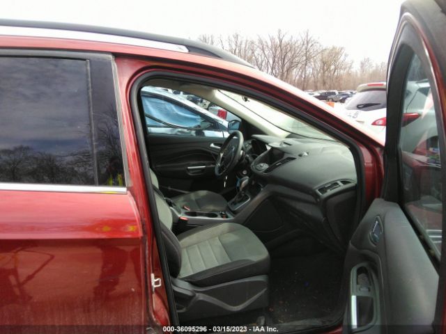 Photo 4 VIN: 1FMCU9G99EUA13772 - FORD ESCAPE 