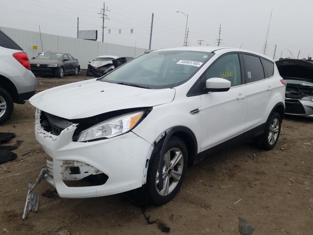 Photo 1 VIN: 1FMCU9G99EUA22035 - FORD ESCAPE SE 