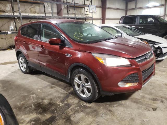 Photo 3 VIN: 1FMCU9G99EUA61501 - FORD ESCAPE SE 