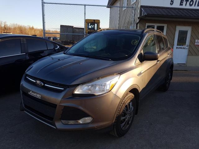 Photo 1 VIN: 1FMCU9G99EUC32621 - FORD ESCAPE SE 