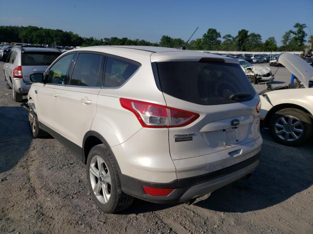 Photo 2 VIN: 1FMCU9G99EUC35051 - FORD ESCAPE SE 