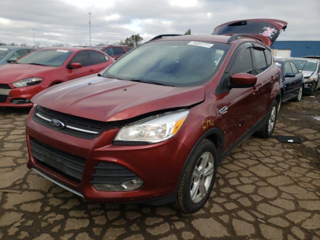 Photo 1 VIN: 1FMCU9G99EUC47300 - FORD ESCAPE 