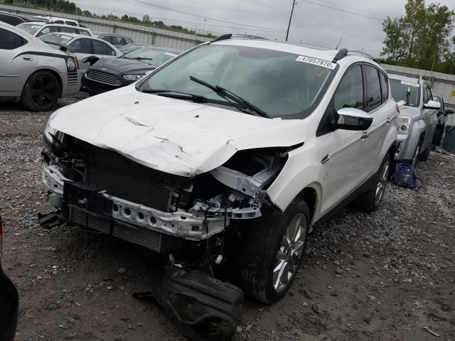 Photo 1 VIN: 1FMCU9G99GUB34028 - FORD ESCAPE 