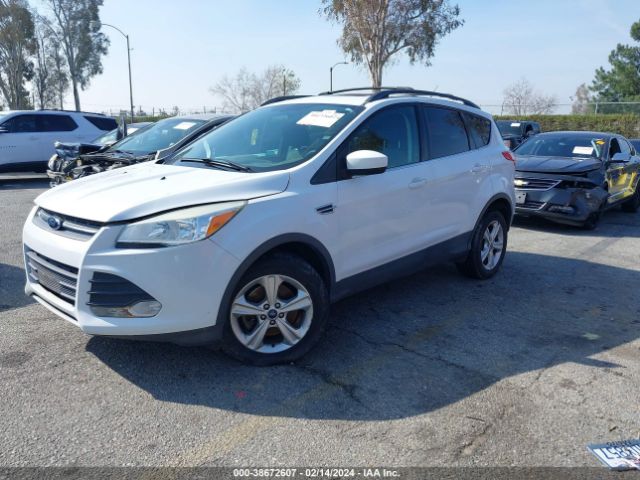 Photo 1 VIN: 1FMCU9G9XDUA73672 - FORD ESCAPE 